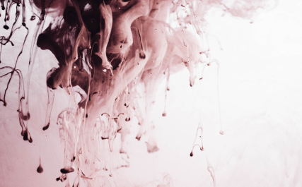 Quis ipsum suspendisse